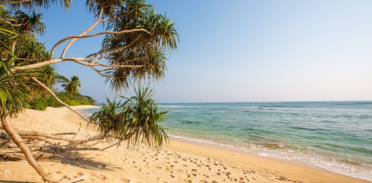 Ramnagar Beach
